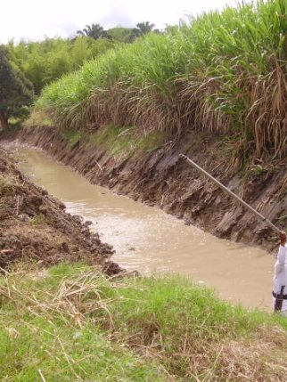 WhatsApp Image 2024-10-22 at 5.12.19 PM (3)