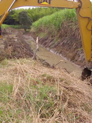 WhatsApp Image 2024-10-22 at 5.12.19 PM