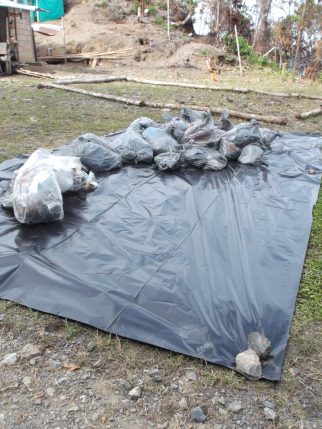 WhatsApp Image 2024-10-22 at 5.14.03 PM